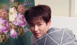 范丞丞白鹿吃瓜爆料,娱乐圈幕后真相大揭秘