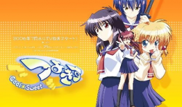 新番动漫,奇幻冒险之旅，青春热血的青春篇章